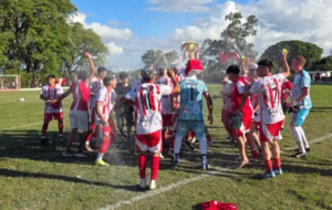 wmremove-transformed